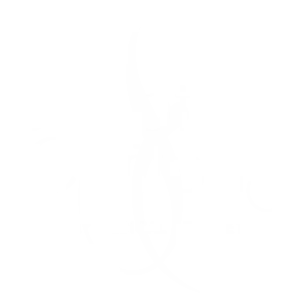 Sculpted Contours MedSpa logo